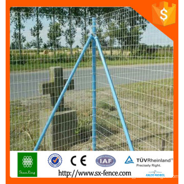 Holland wire mesh/dutch wire mesh/euro fence